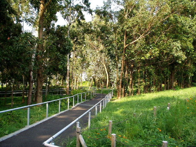 img0022.jpg