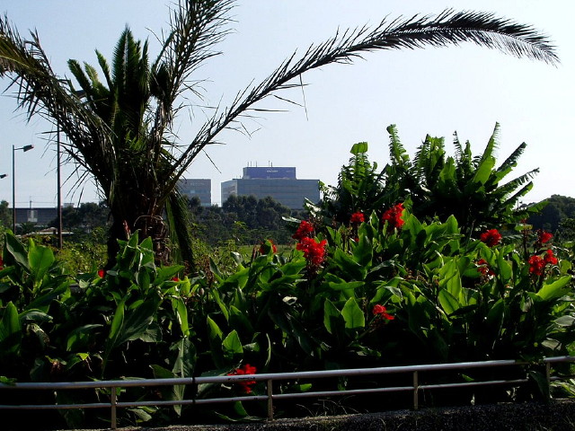img0023.jpg