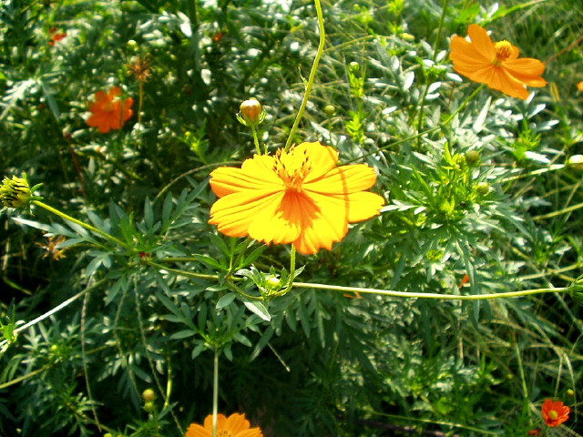 img0025.jpg