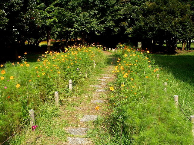 img0027.jpg