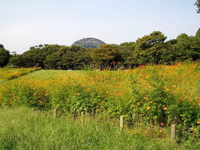 img0028.jpg