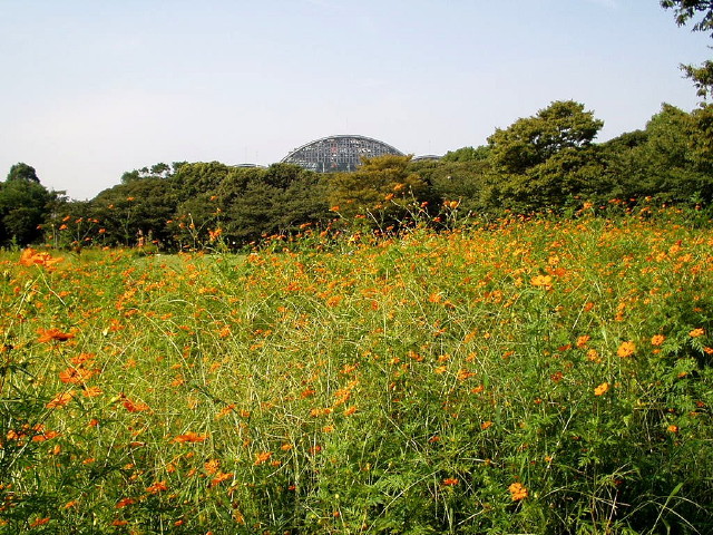 img0029.jpg