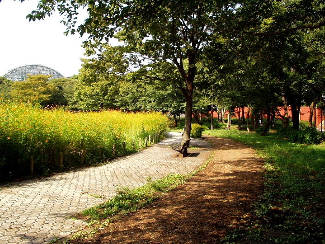 img0030.jpg