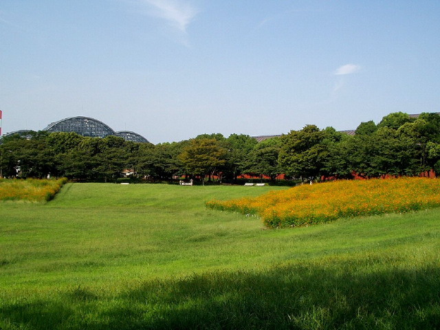 img0031.jpg