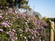 img0003.jpg
