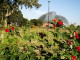 img0004.jpg