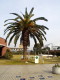img0006.jpg