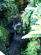 img0012.jpg