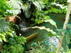 img0013.jpg