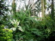 img0014.jpg