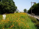img0019.jpg