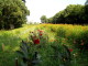 img0020.jpg