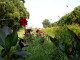 img0021.jpg