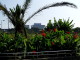 img0023.jpg
