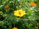 img0025.jpg