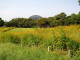 img0028.jpg