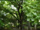 img0002.jpg