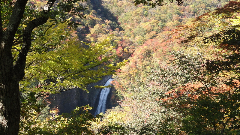img0005.jpg