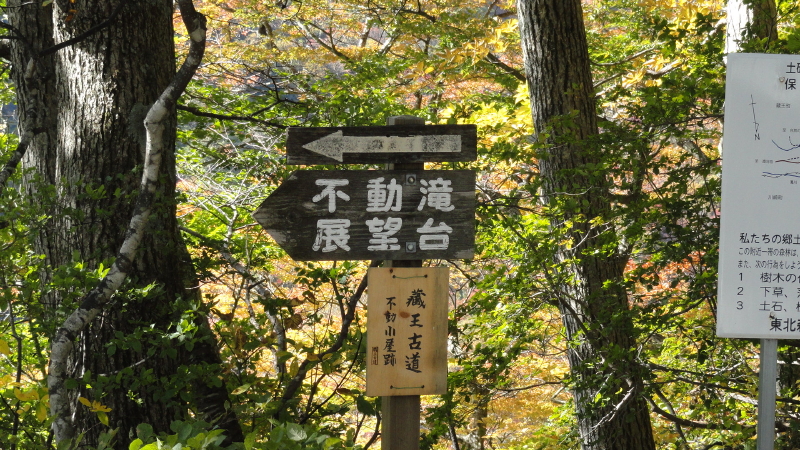 img0006.jpg