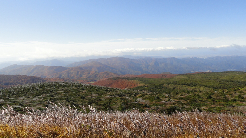 img0012.jpg