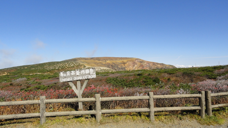 img0013.jpg