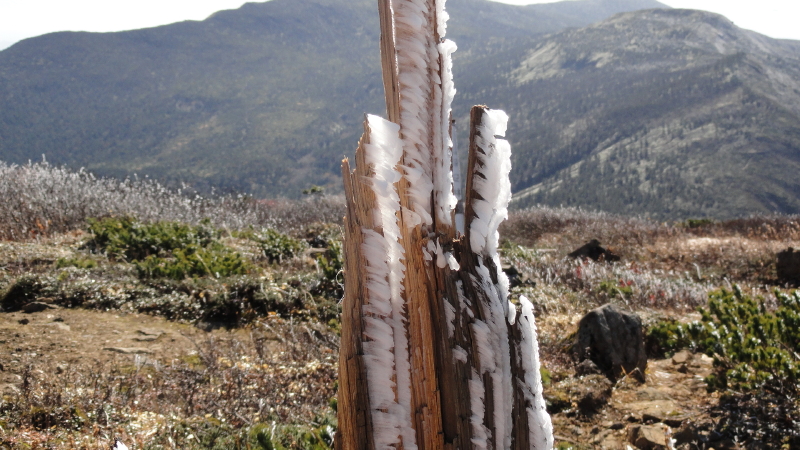img0047.jpg