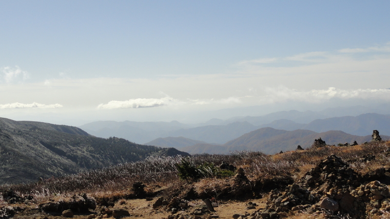 img0049.jpg