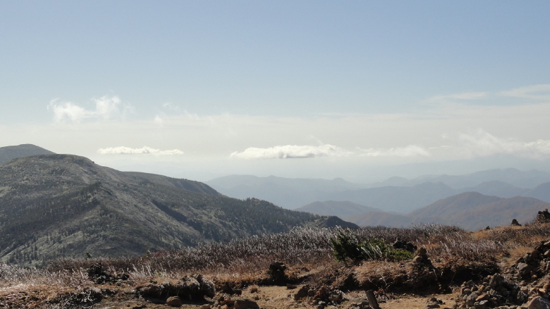 img0050.jpg