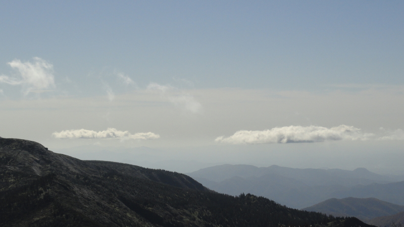 img0051.jpg