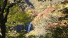 img0005.jpg