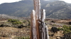 img0047.jpg