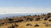 img0048.jpg