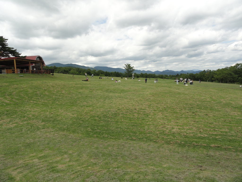 img0003.jpg