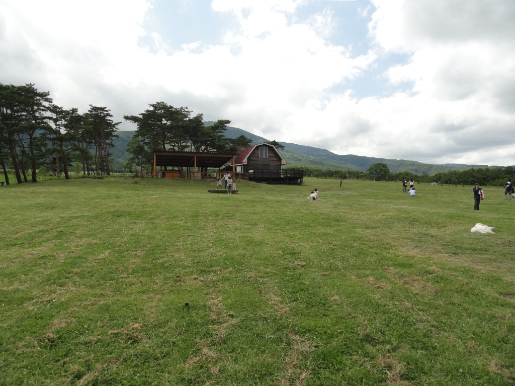 img0004.jpg