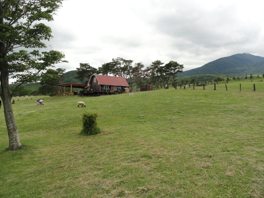 img0010.jpg
