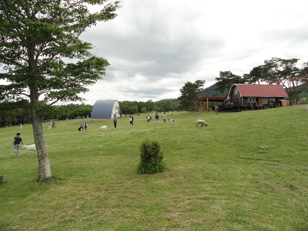 img0011.jpg