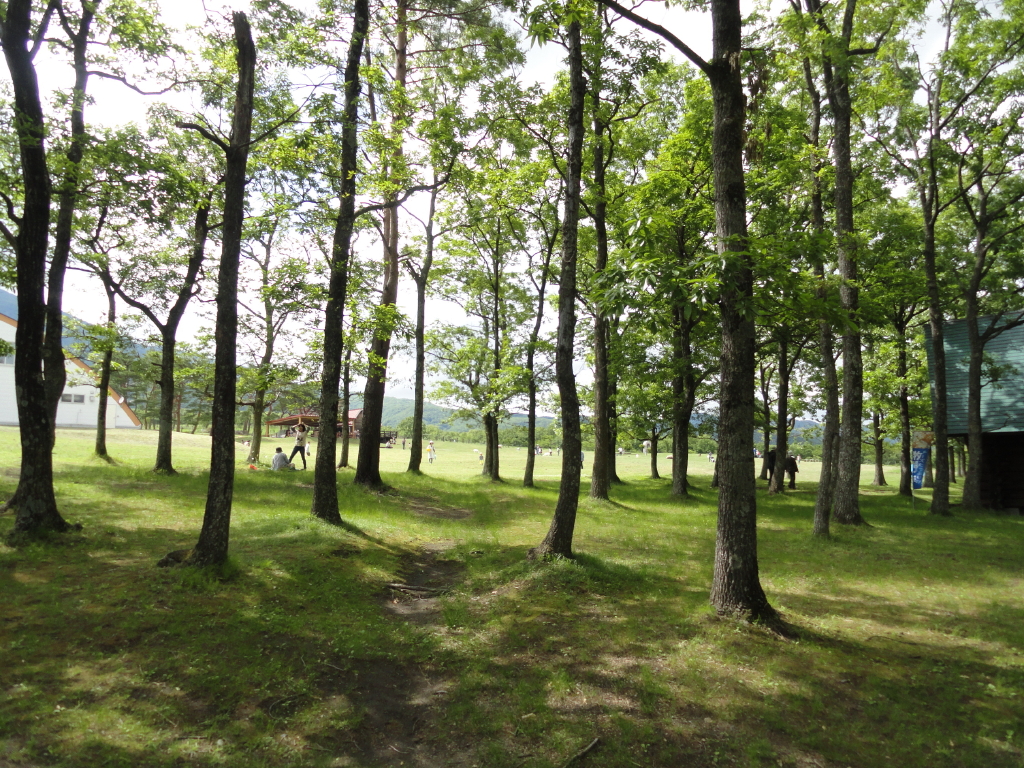 img0018.jpg