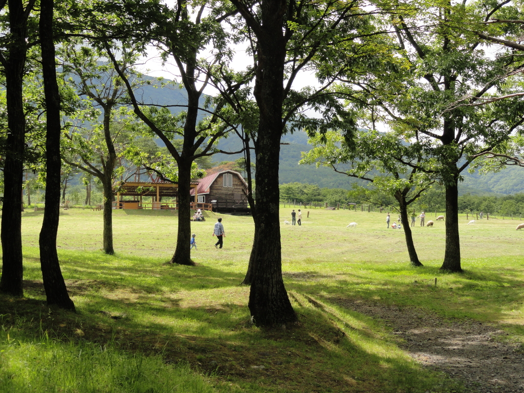 img0022.jpg