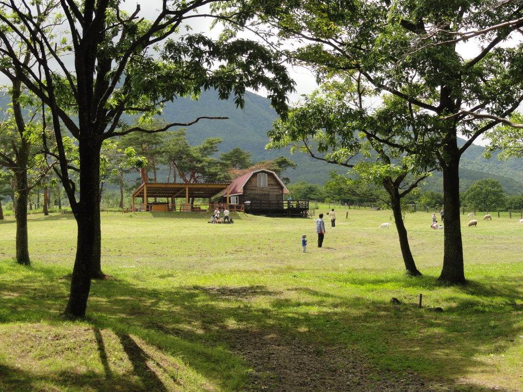 img0023.jpg