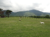 img0006.jpg