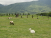 img0007.jpg