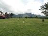 img0008.jpg