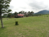 img0010.jpg