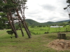 img0012.jpg