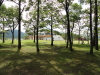 img0017.jpg