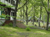 img0025.jpg
