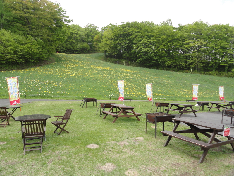 img0010.jpg