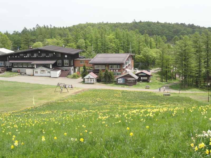 img0019.jpg