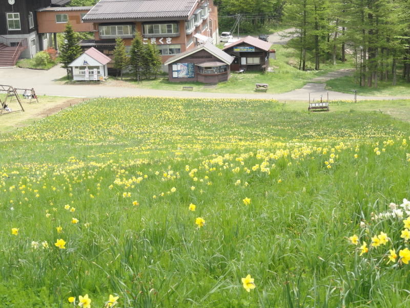 img0020.jpg