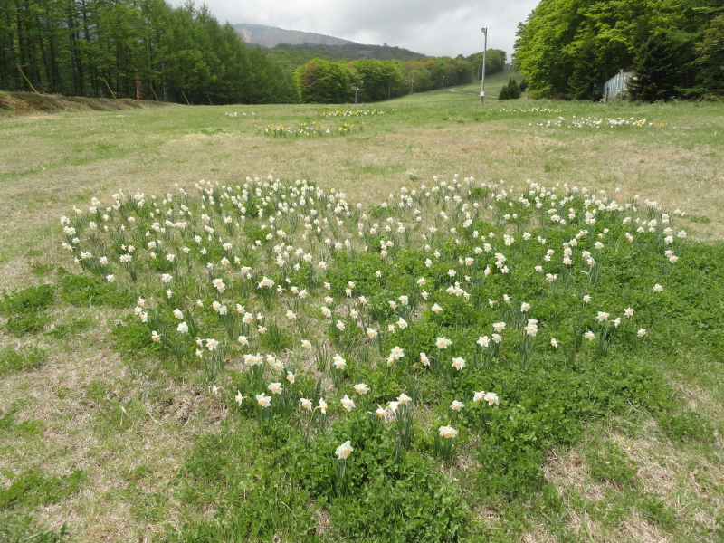 img0030.jpg